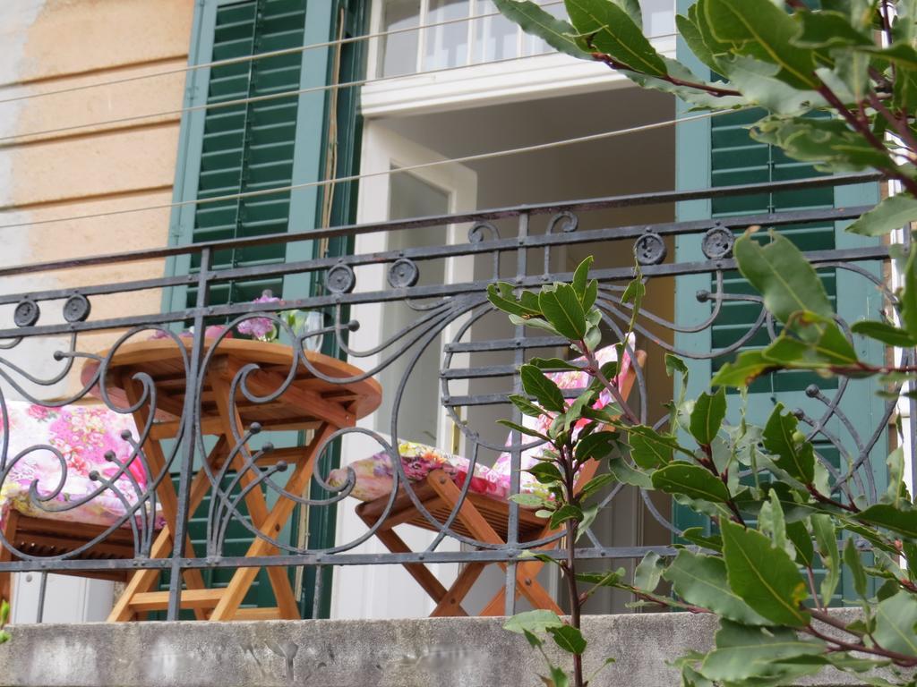 Apartma Kamelija *